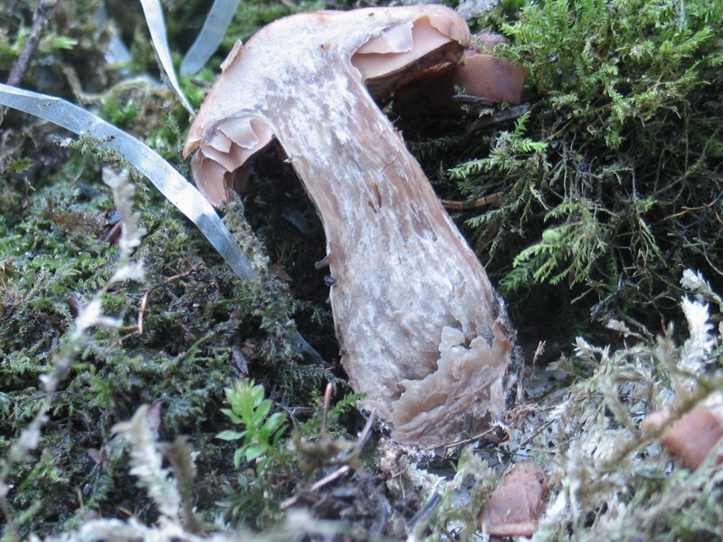 Cronaca di un sabato disgraziato